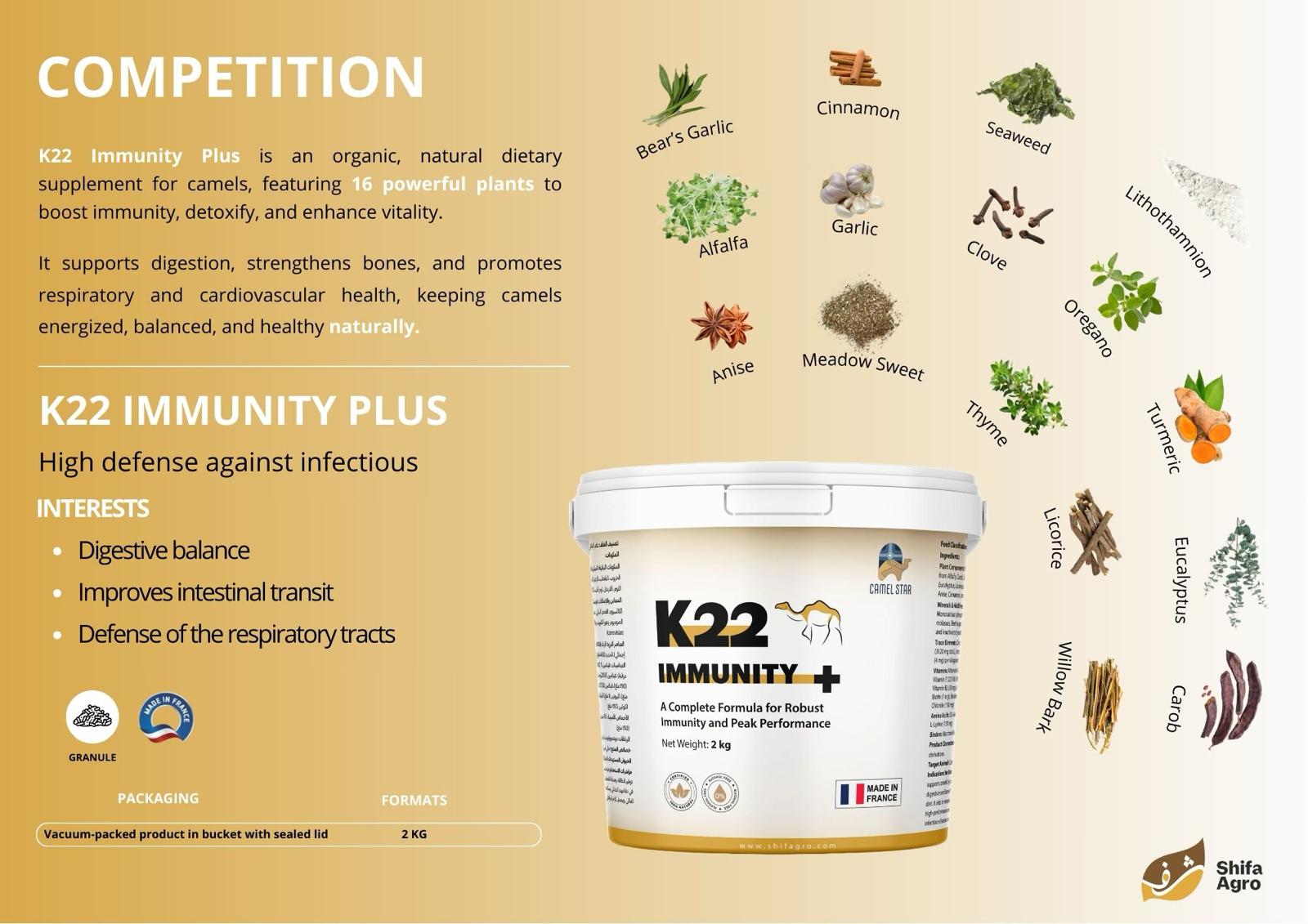 WhatsApp Image 2024-12-15 à 18.56.33_a6553dfa