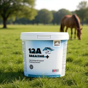 12A BREATHE PLUS