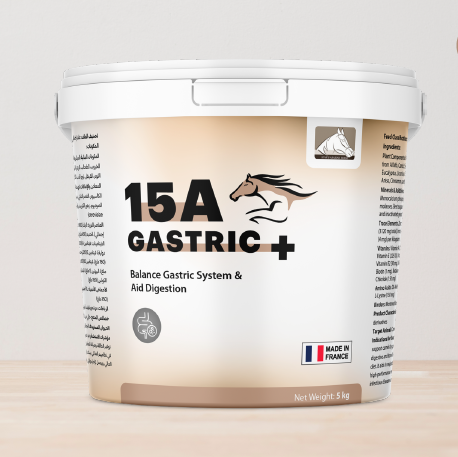 15A GASTRIC