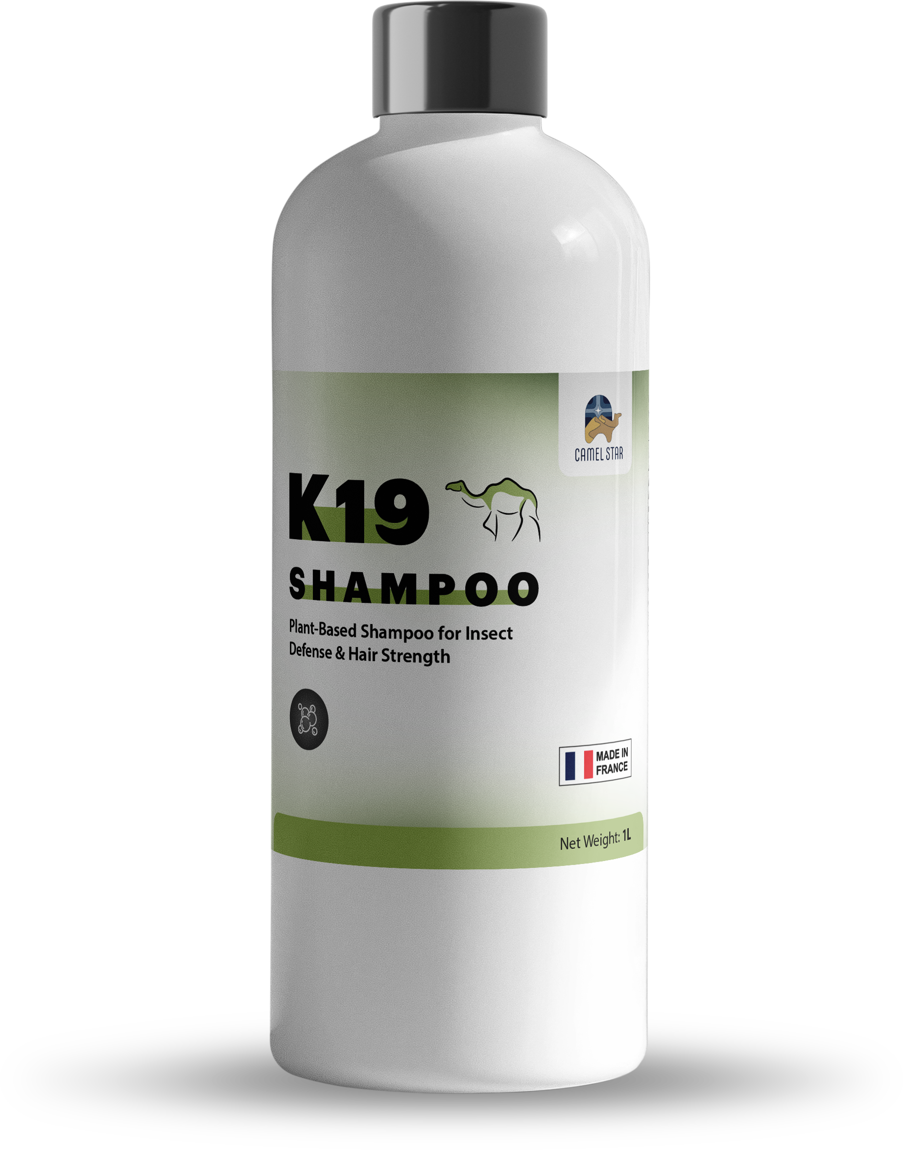 k19