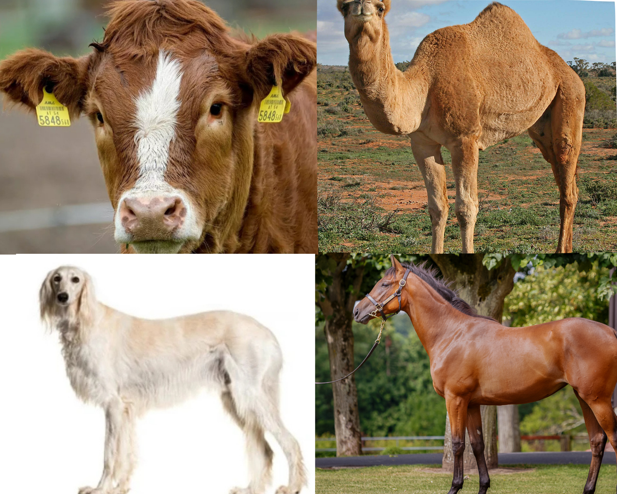 Design sans titre (6)