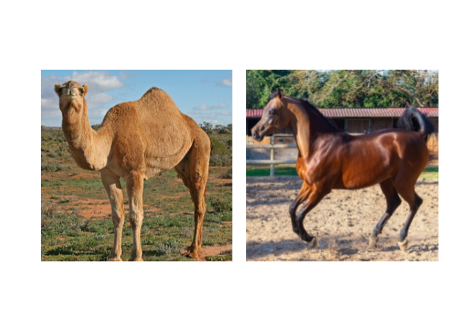 Capture d'écran 2024-12-16 215754