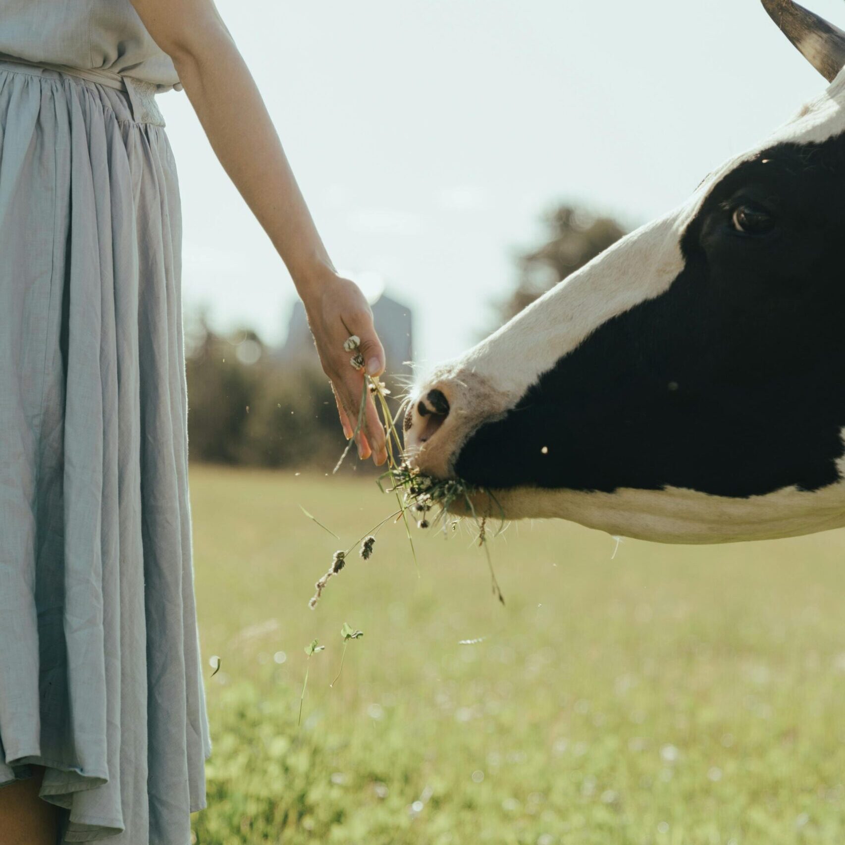 pexels-cottonbro-4919678